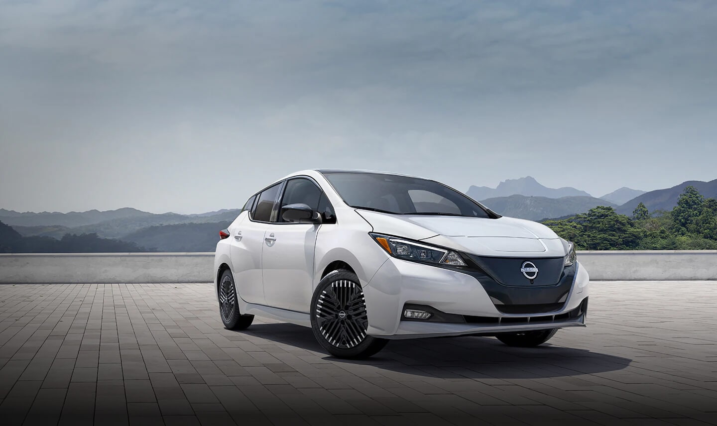 Best Electric Cars 2025: A Global Perspective